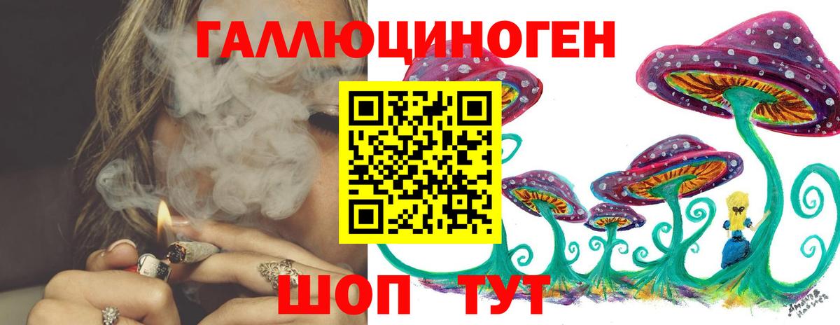 Псилоцибиновые грибы Psilocybe  Галлюциногенные грибы Psilocybine cubensis  Камень-на-Оби  Вход с VPN 